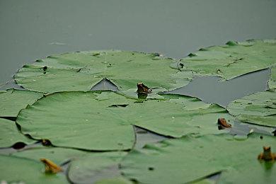 推理新游《解谜的房间》登陆Switch 通过图片推理